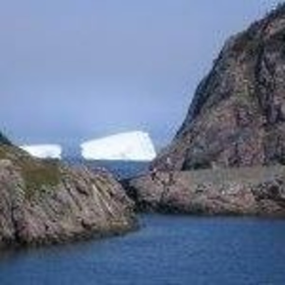 Meet your Posher, Brenda - Picture 1 of 1